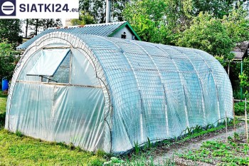 Siatki Żnin - Odporna na wiatr folia ochronna dla upraw warzywnych w tunelach dla terenów Żnina